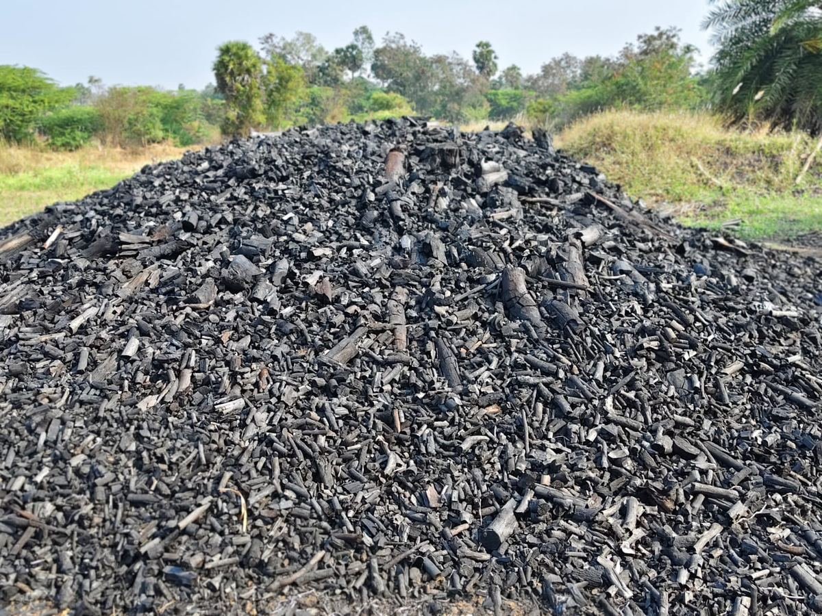 Hardwood charcoal logs stacked for dispatch