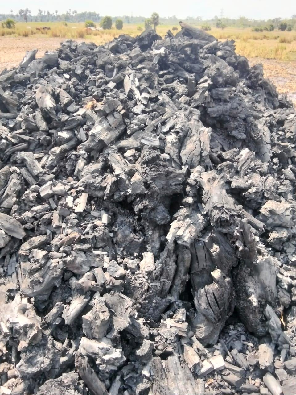 Wood charcoal stock yard at Mukesh World Charcoal